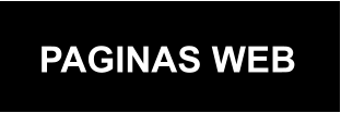 PAGINAS WEB